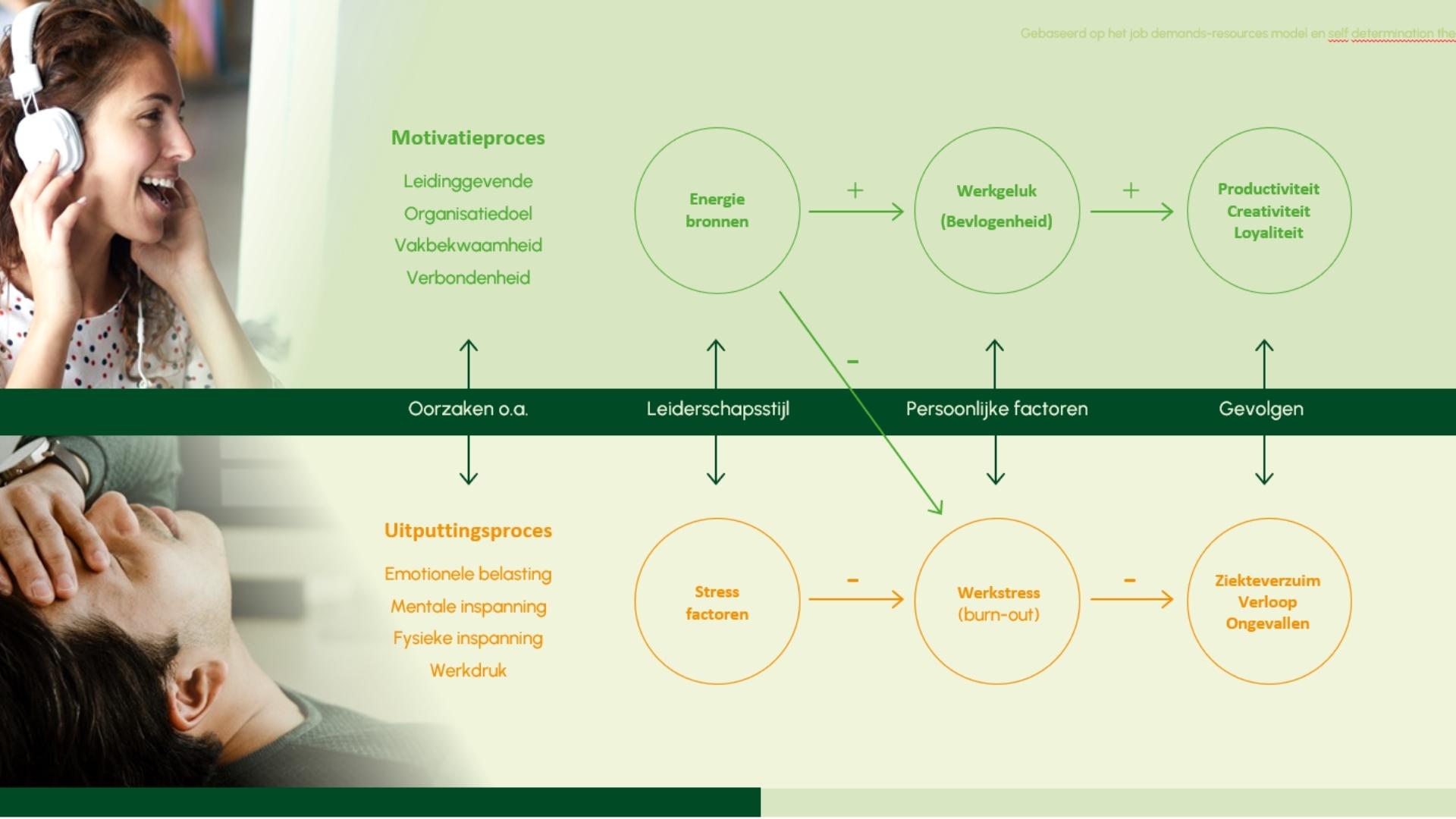 jdr model