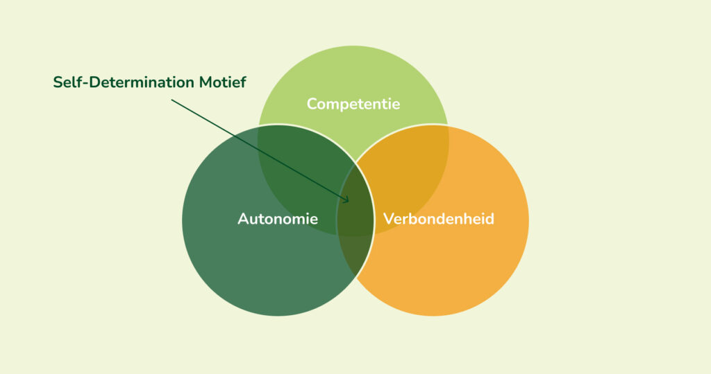 Self Determination Theory